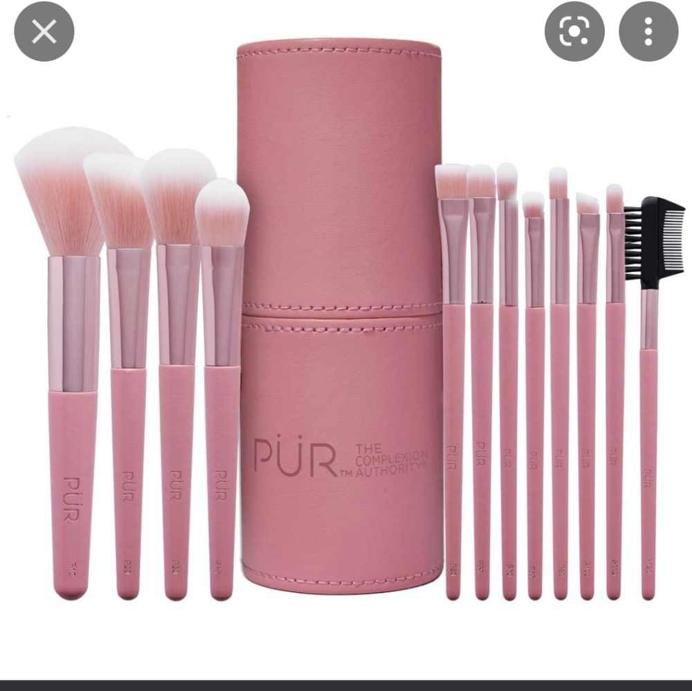 Pür cosmetics 12 piece brush set